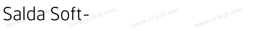 Salda Soft字体转换